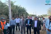 فاز و اکسیناسیون تب برفکی دام  سنگین در کشور